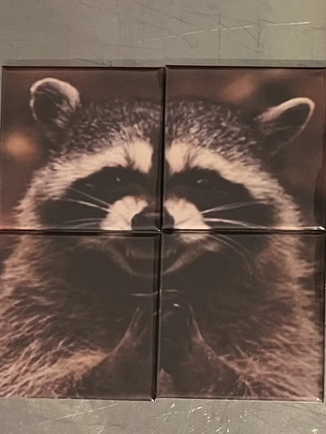 4 Magnet Puzzle